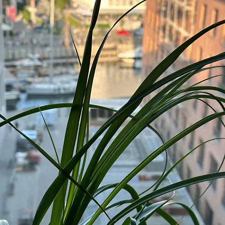 Apartmán Baltic Riviera - Private Sauna Premium *