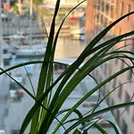 Apartment Baltic Riviera - Private Sauna Premium *